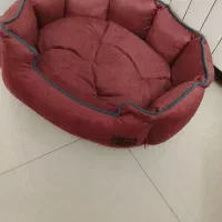جا خواب سگ