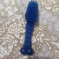 دندونی سگ