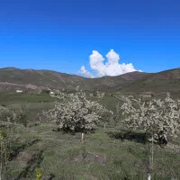 باغ|فروش زمین و ملک کلنگی|کن, |دیوار