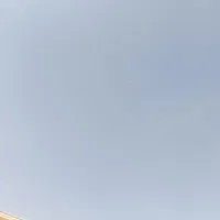 کبوتر پرشی