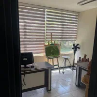 136متر/سند اداری/محدوده بالای پالیزی