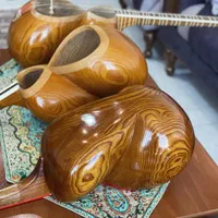 تار مبین ،حرفه ای