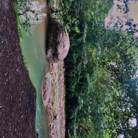 سیم کارت033 0912