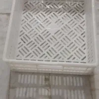سبد ماستی