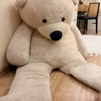 خرس بزرگ ۲ متری