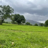 استخدام افراد ماهر در تولید محتوا در زمینه پزشکی