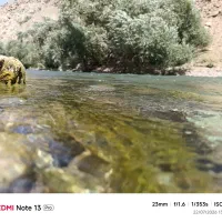 میخوام شغلمو عوض کنم