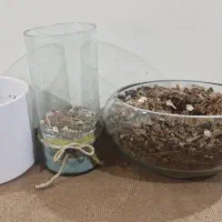 ۳ عدد گلدان باهم