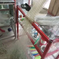 تورماهی گیری