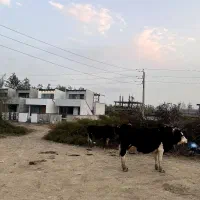 زمین-شخصی-در-لوکیشن-بکر-شمال