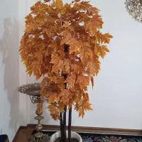 درختچه