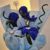 گل مخملی