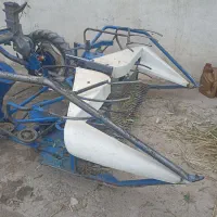 گندم چین علف چین