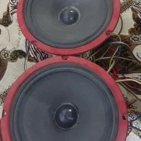 باند مید