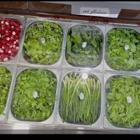 کسب وکار
