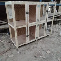 جفت کنی کبوتر ،استند گل