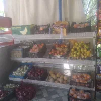 بساط میوه تربار با کلاس