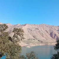 فروش واحد مسکونی و ویلا