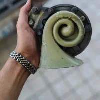 بوق زامیادی