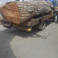خریدچوب گردو،میوه صنوبر.ریشه گردو تیرچوب کهنه