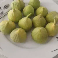 انجیرتازه زرد شیرین