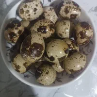 تخم بلدرچین ارگانیک