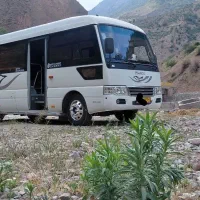 مینی بوس ایسوزو