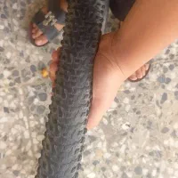 لاستیک دوچرخه
