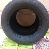 دوحلقه لاستیک سمندی