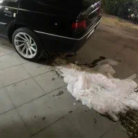 کربن زدایی خودرو با دستگاه قیمت مناسب