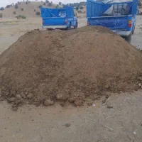 کود حیوانی