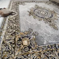 فرش ۹متری /کلا ۷۲ساعت پهن بود