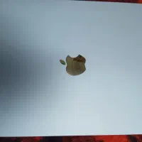 ای پت a16مدل 2025 در حد نو خریداری شده در برج نه