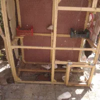 قفس محکم و سفارشی ساز  برای کبوتر  و مرغ