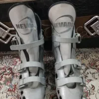 کفش اسکیت