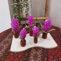 شمع گل سنبل  و نوروز مبارک