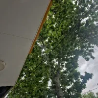 به یک کارگر جهت کار یا شراکت در باغ نیازمندم