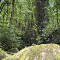 3600متر-amp-laquo-ویلای-سبز-amp-raquo-قابل-معاوضه