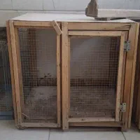 قفس پرنده