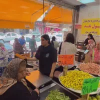 صندوقدار خانم با حقوق بالا و بیمه