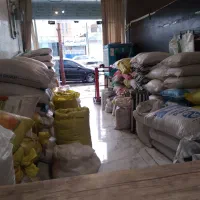 گندم و ارزن وغیره