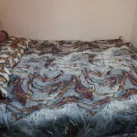 تخت دونفره به همراه تشک روکش