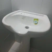 سرشور در حدنو