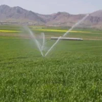 4هکتار زمین کشاورزی آبی طرح بارانی/چغادون