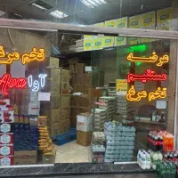 تخم مرغ زرده طلایی آوا