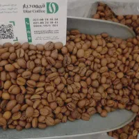فروش عمده قهوه 70 30 روبوستا ، عربیکا ربوستا