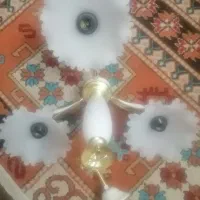 لوستر... سالم و شیک