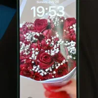 ایفون ۱۶نرمال