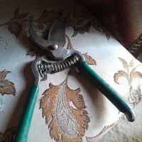 قیچی باغبانی حد نو انگشتر عقیق