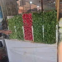 جاره غرفه سبزی